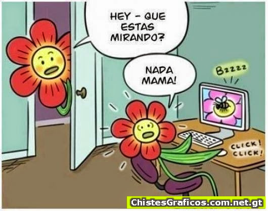 photo.jpg