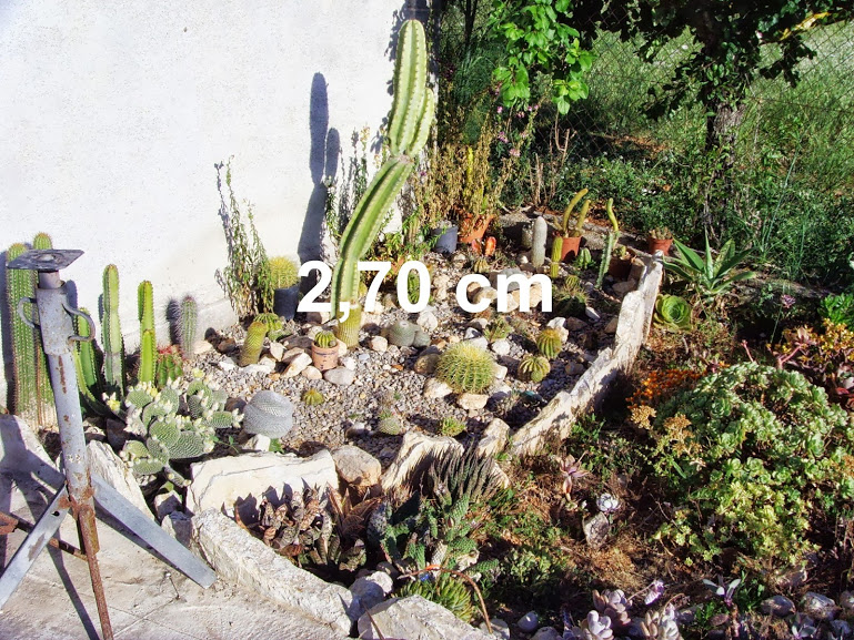 photo.jpg