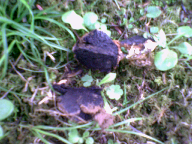 Photo0047.jpg