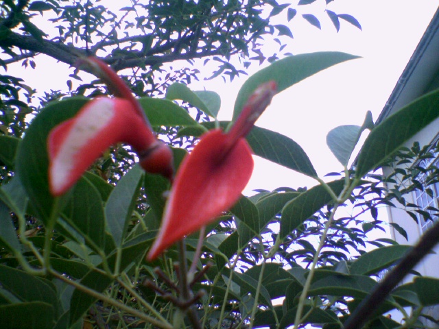Photo0062.jpg