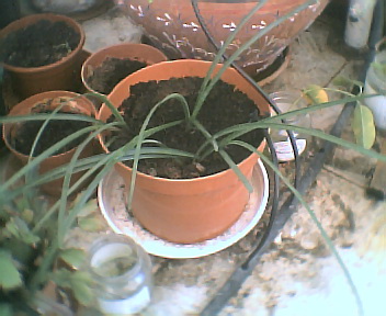 Photo013.jpg
