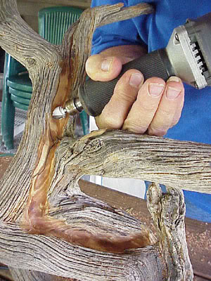 photo10.jpg