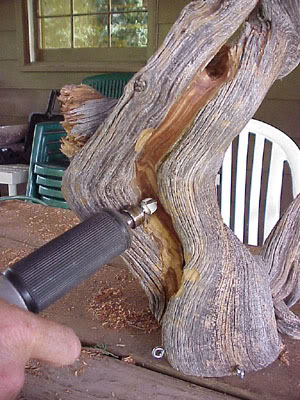 photo11.jpg