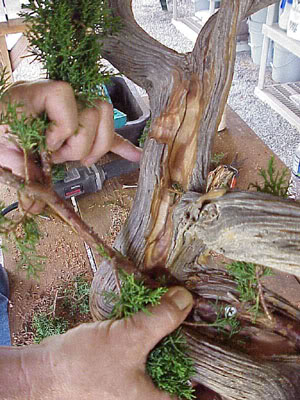 photo12.jpg