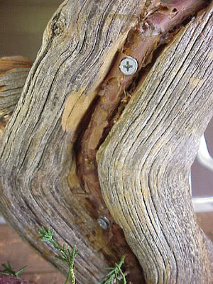 photo14.jpg