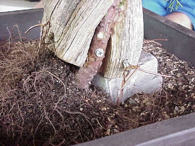 photo15.jpg