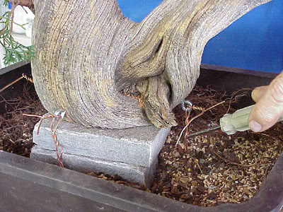 photo16.jpg