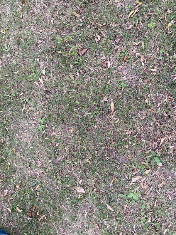 photo1634712383-1.jpg