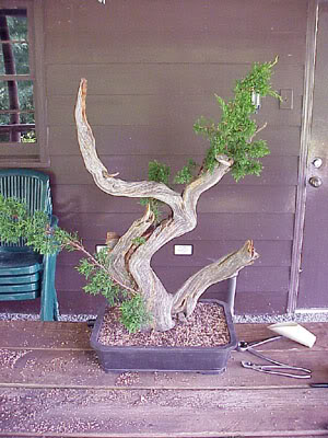photo17.jpg