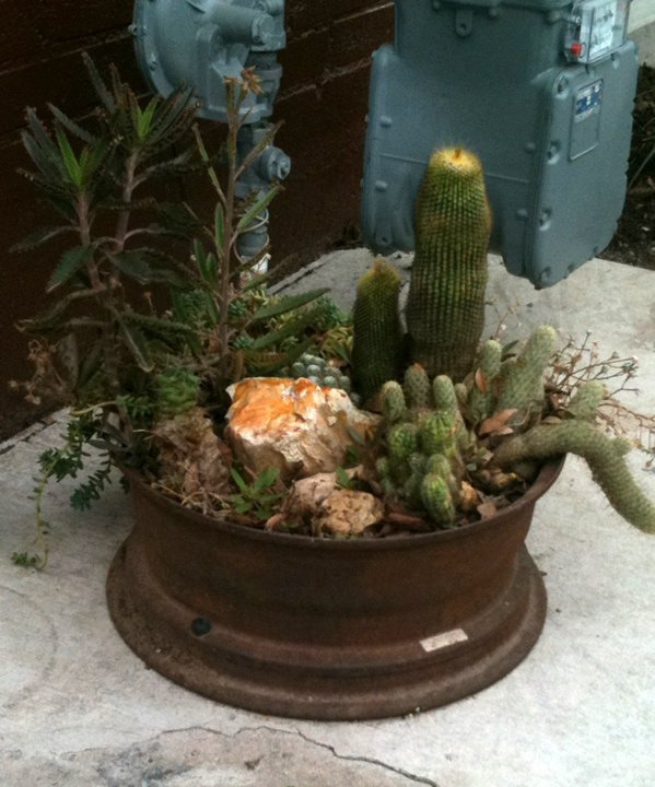 photo2.jpg