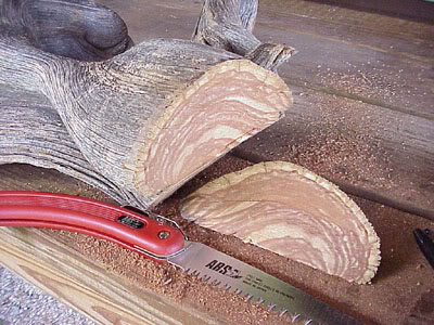 photo3.jpg
