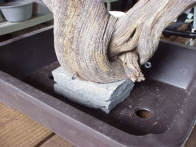 photo7.jpg