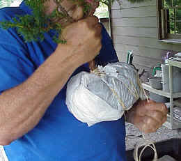photo9.jpg