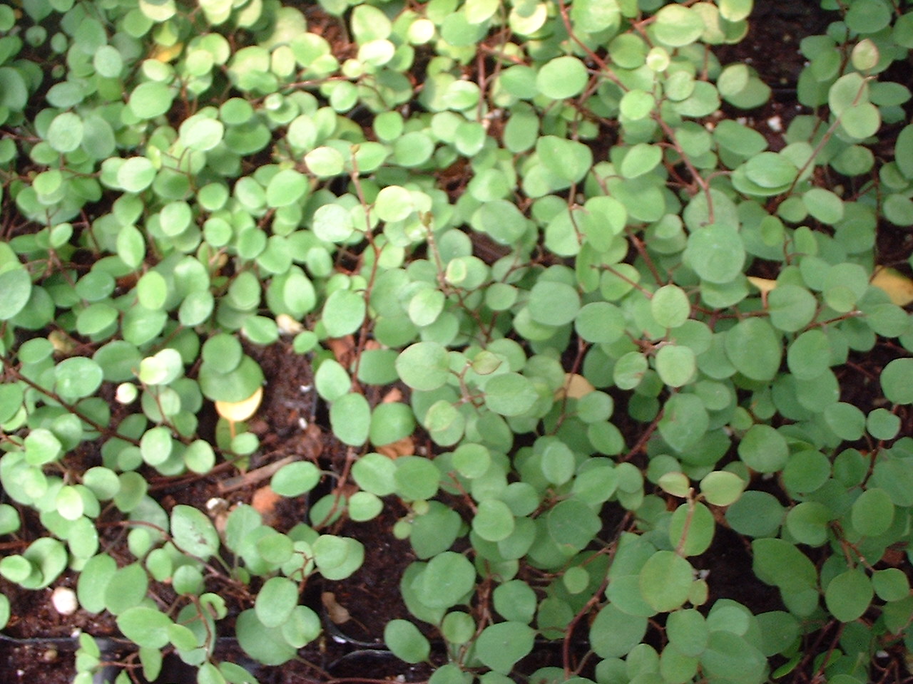 photo_017.jpg