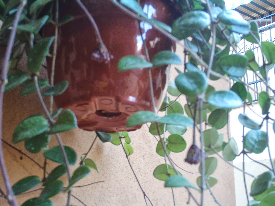 PHTO0448.JPG
