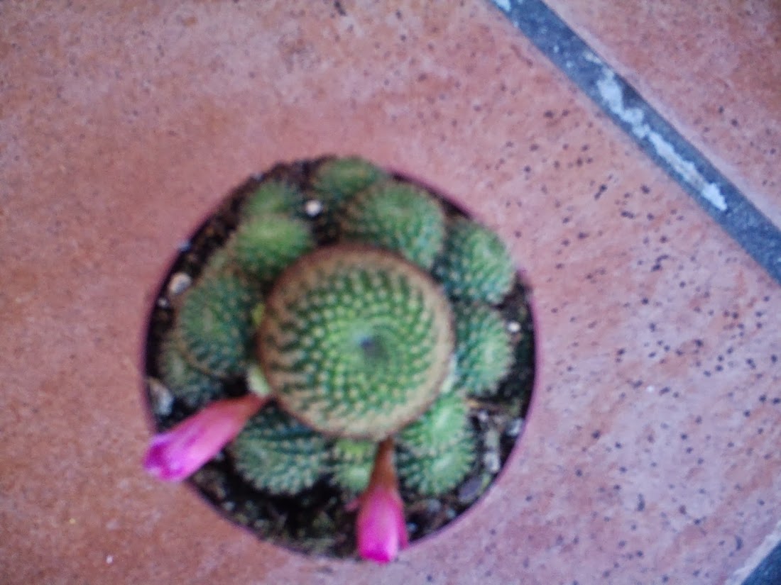 PHTO0453.JPG