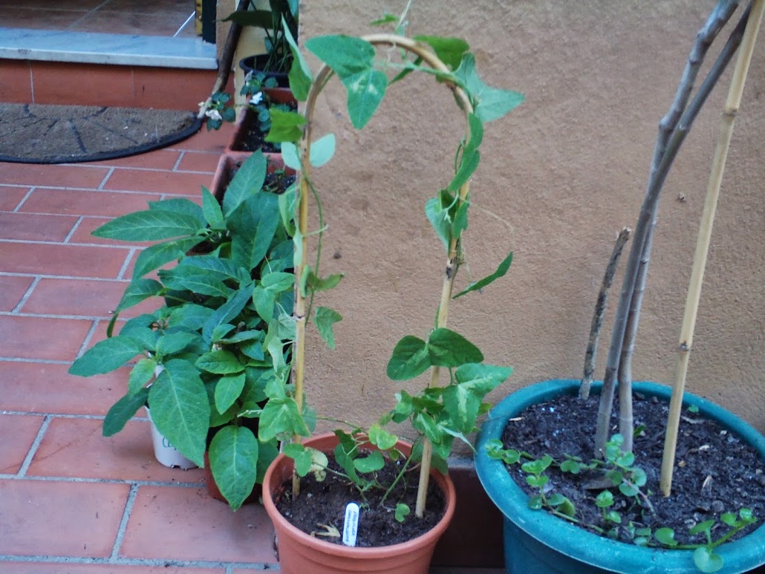 PHTO0455.JPG