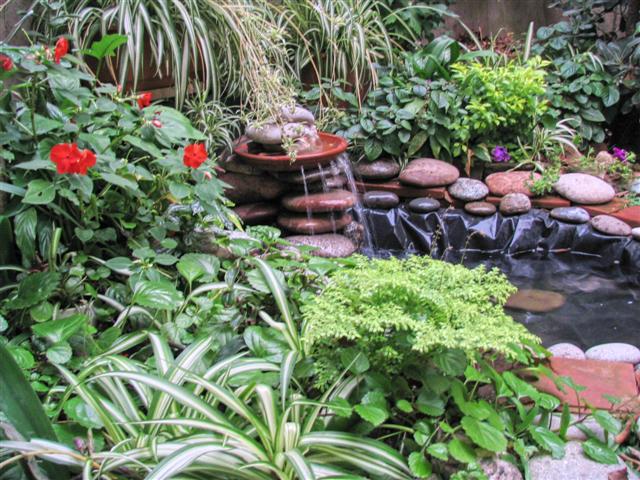 pic000207.jpg