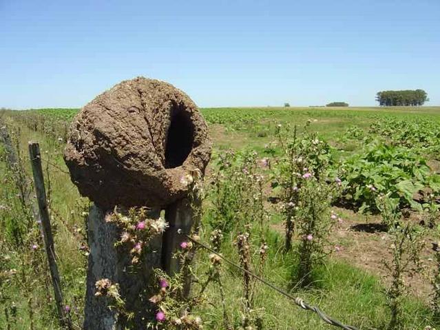 pic8.jpg