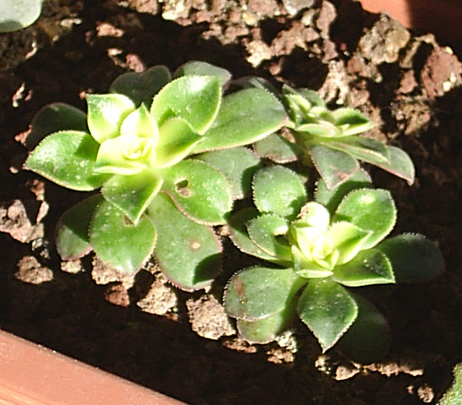 PIC_0002~0.jpg