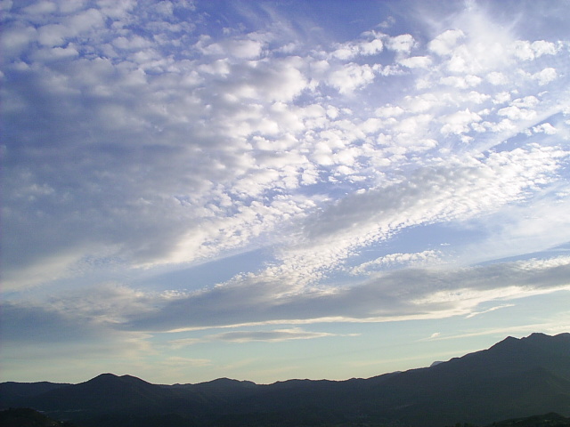 PIC_00022.JPG