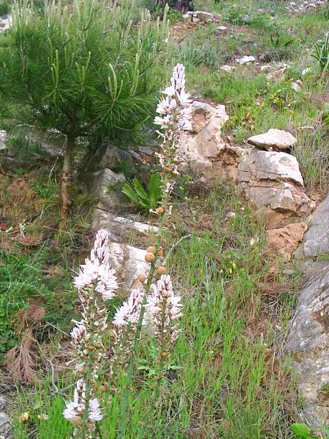 PIC_00026.JPG