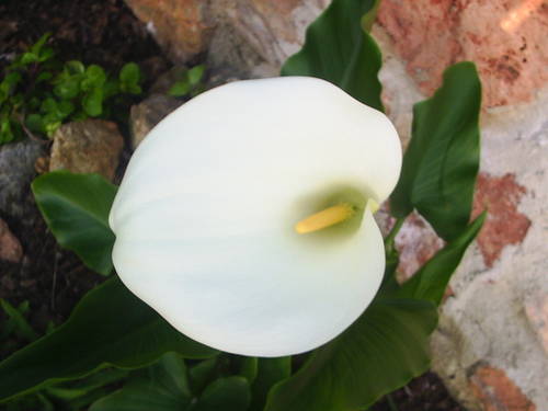 PIC_0003.JPG