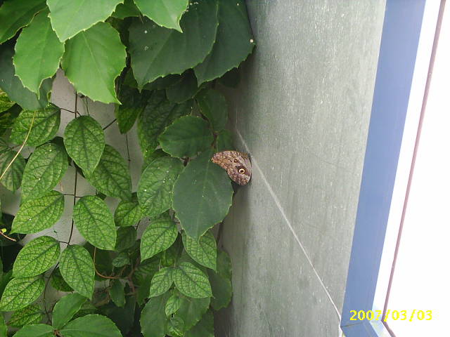 PIC_0006.JPG