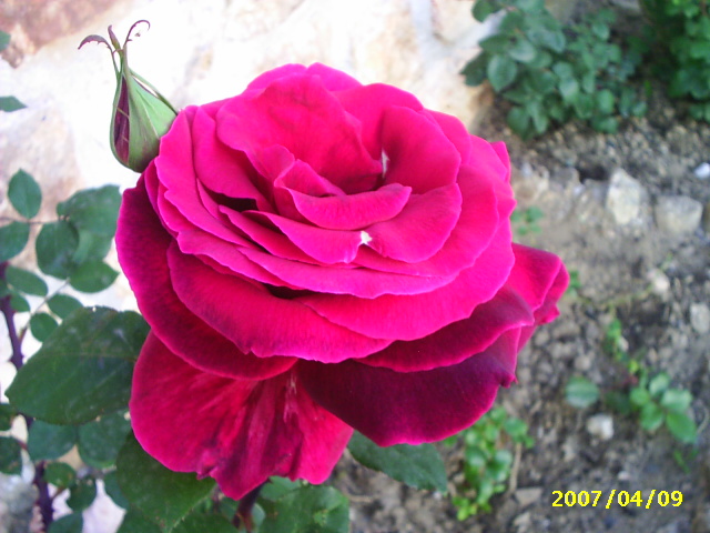 PIC_00062.JPG
