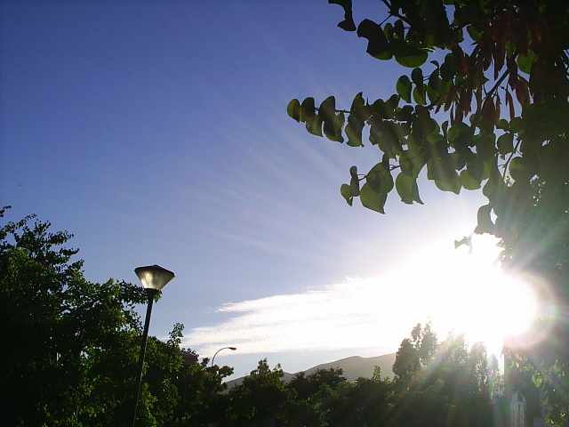 PIC_00104.JPG