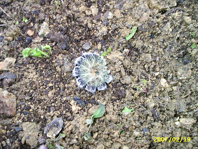 PIC_0013.JPG