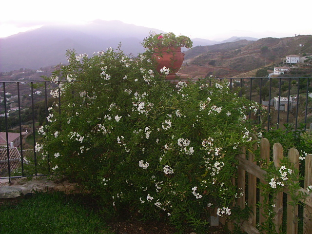 PIC_001312.JPG