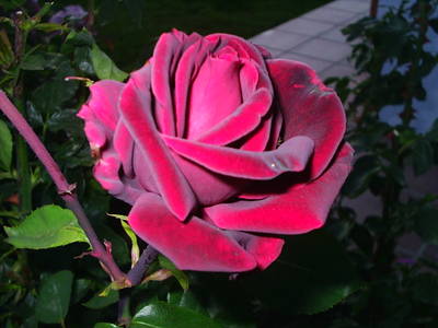 PIC_00134.JPG