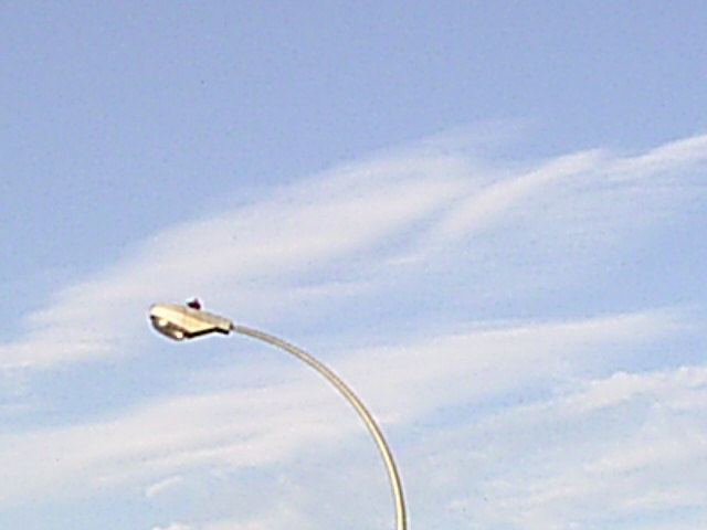PIC_00138.JPG