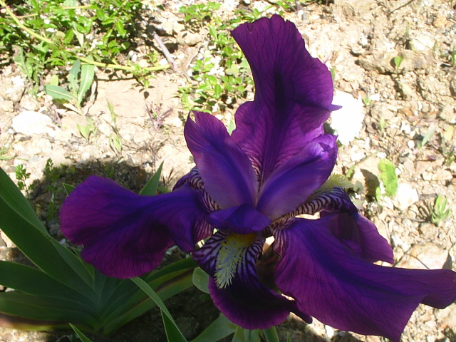 PIC_00144.JPG