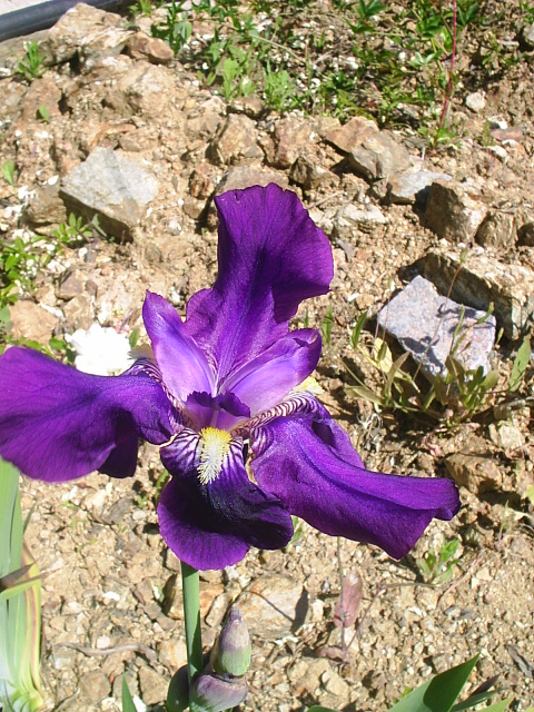 PIC_00151.JPG