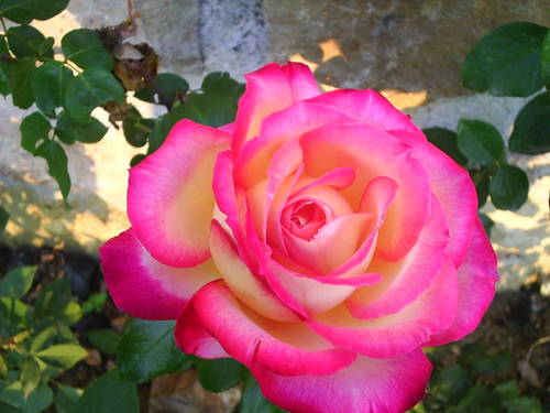 PIC_0017.JPG