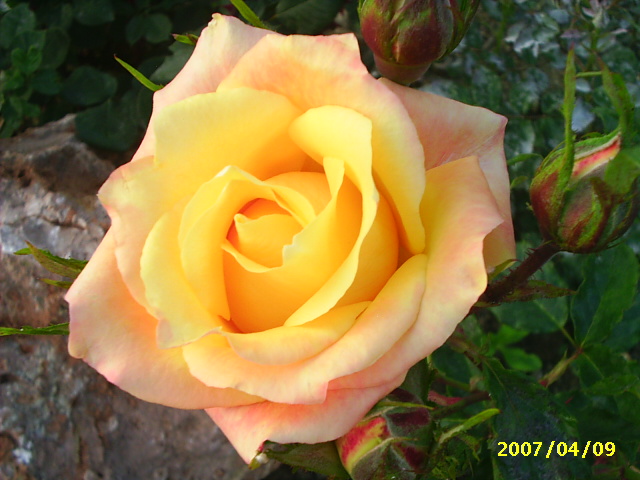 PIC_0017.JPG