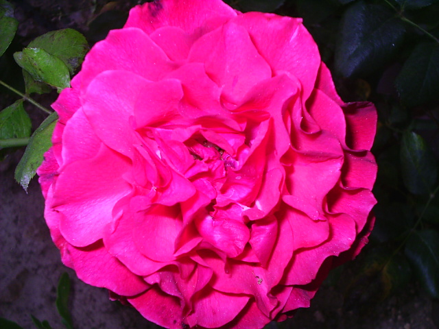 PIC_00171.JPG