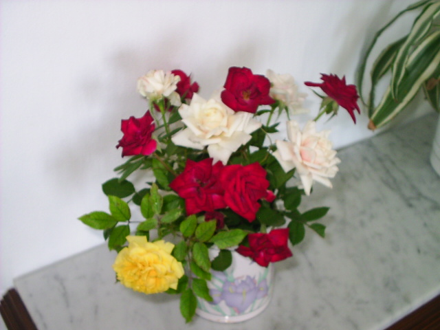 PIC_00194.JPG