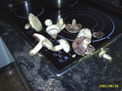 PIC_0024.JPG