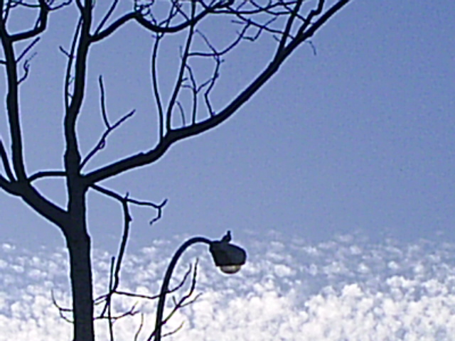 PIC_00255.JPG