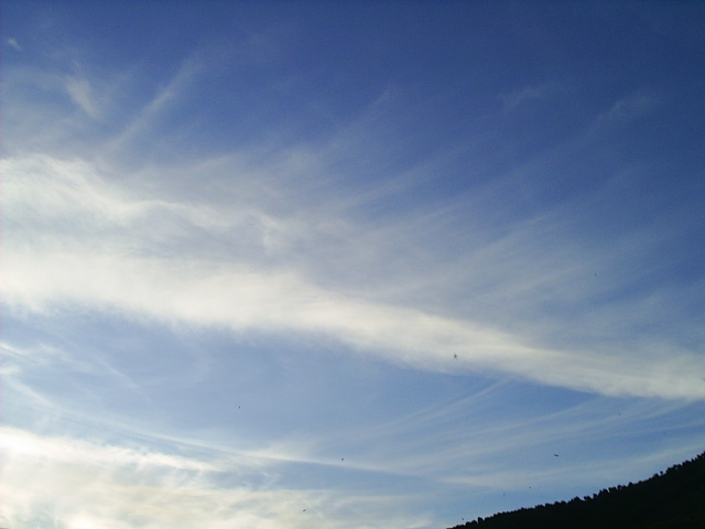 PIC_00263.JPG