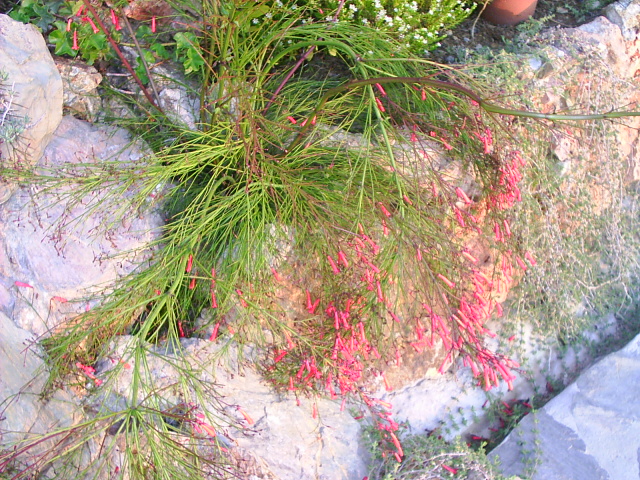 PIC_00264.JPG