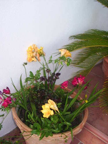 PIC_0027.JPG