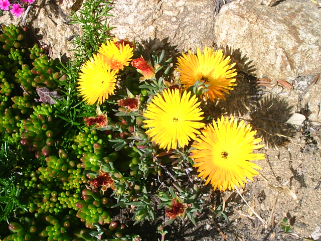 PIC_00364.JPG