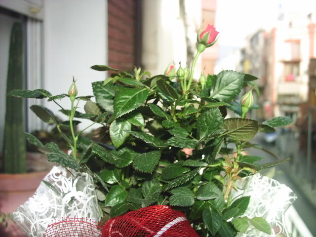 PIC_0051.jpg