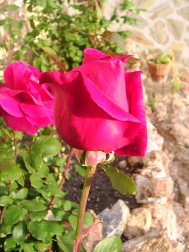 PIC_0053.JPG