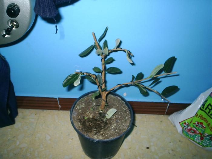PIC_0092.jpg