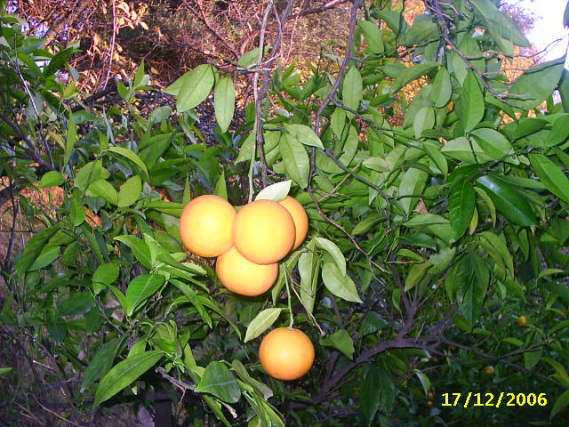 PIC_0122.JPG